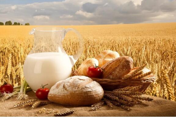 乳制品檢測儀器配置清單