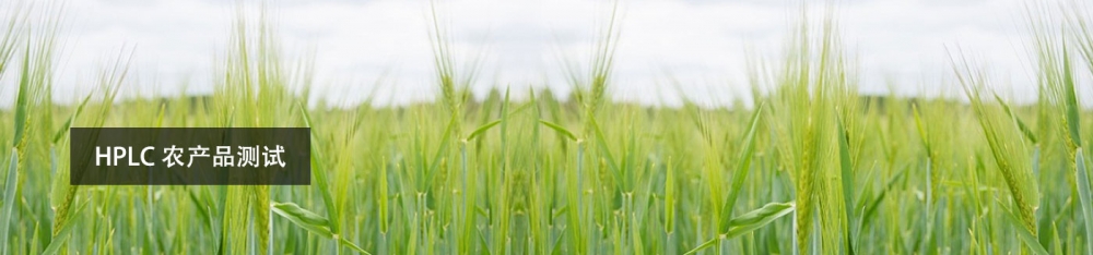 20190702174123_960 20190702174123_960