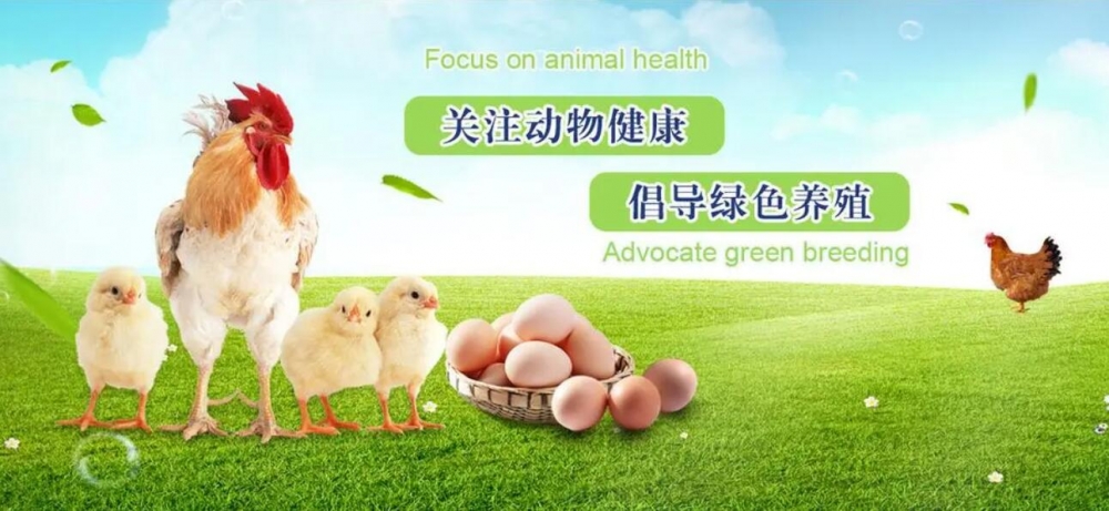 獸藥GMP認證儀器配置方案